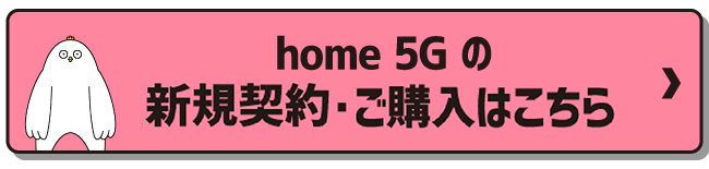 home 5Gの購入はこちら